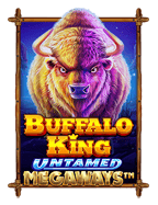 เริ่มต้นทดลองเล่นสล็อต vikings unleashed megaways อย่างไร